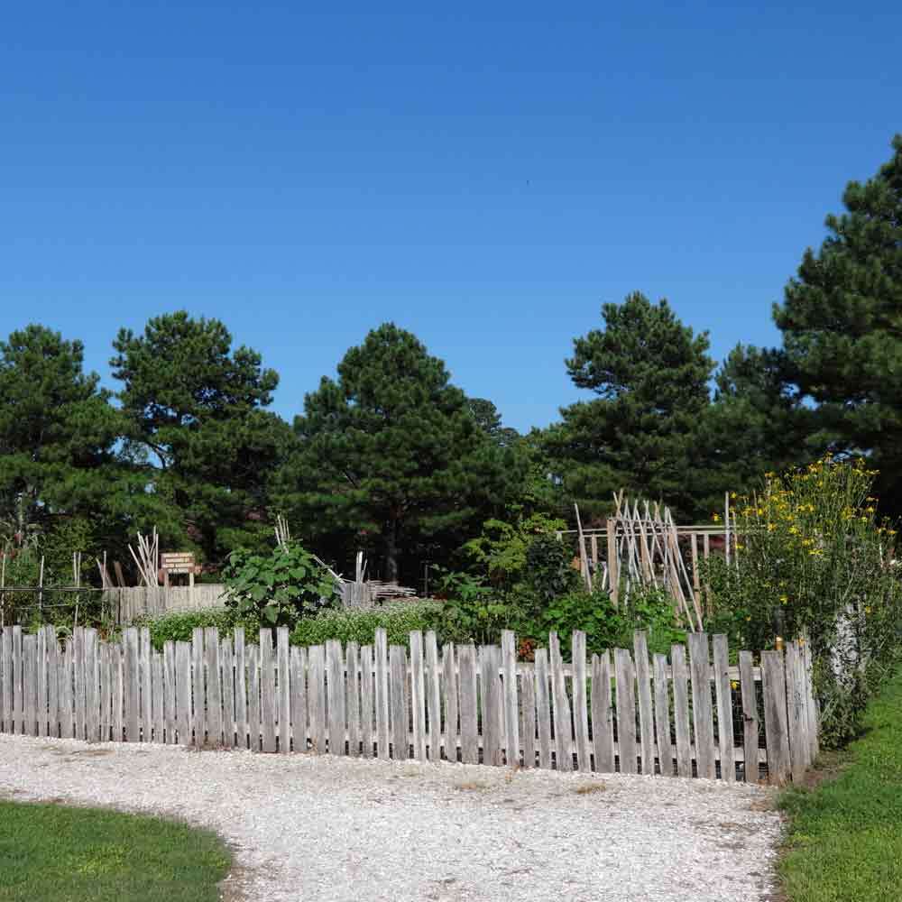 Fence and Garden at Francis Land House