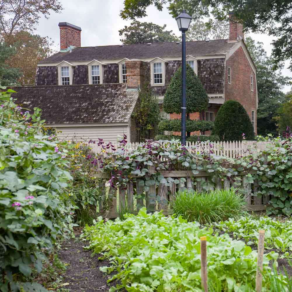 Garden at Francis Land House